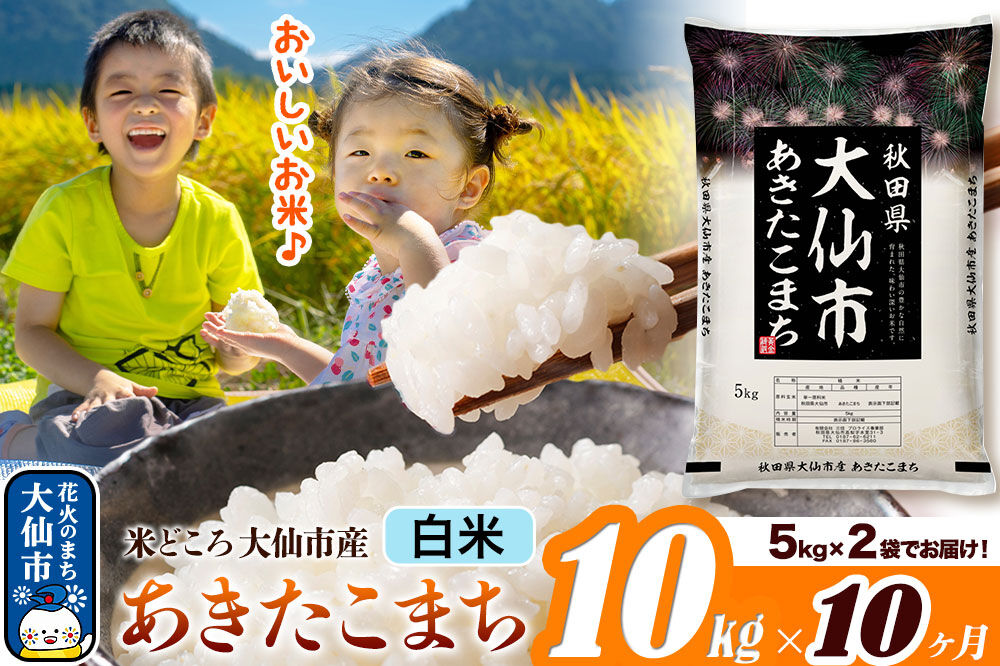 米《定期便10ヶ月》あきたこまち【白米】 米どころ秋田県大仙市産 令和7年産 精米 10kg（5kg×2袋）
