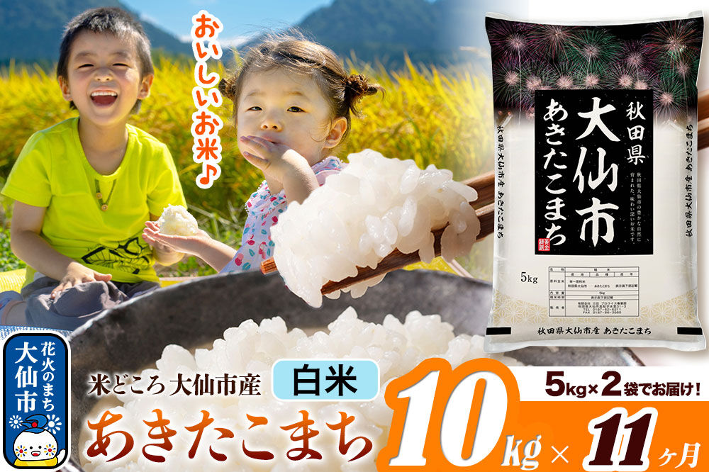 米《定期便11ヶ月》あきたこまち【白米】 米どころ秋田県大仙市産 令和7年産 精米 10kg（5kg×2袋）