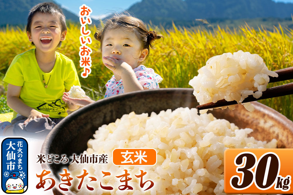 米 令和7年産【玄米】米どころ秋田県大仙市産 あきたこまち 30kg（30kg×1袋）