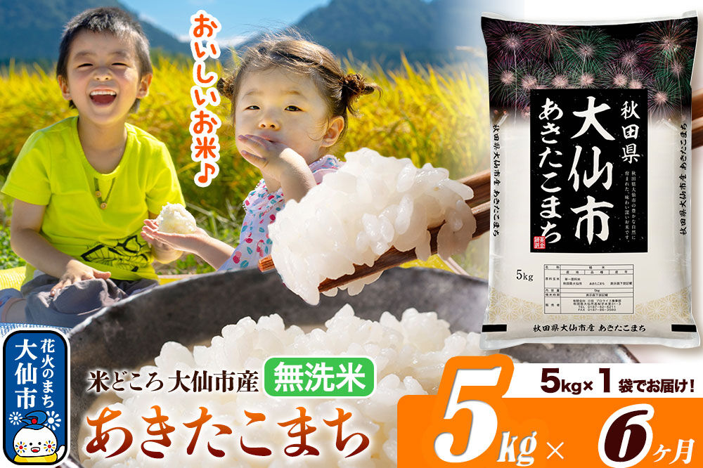 米《定期便6ヶ月》あきたこまち【無洗米】米どころ秋田県大仙市産 あきたこまち5kg（5kg×1袋）