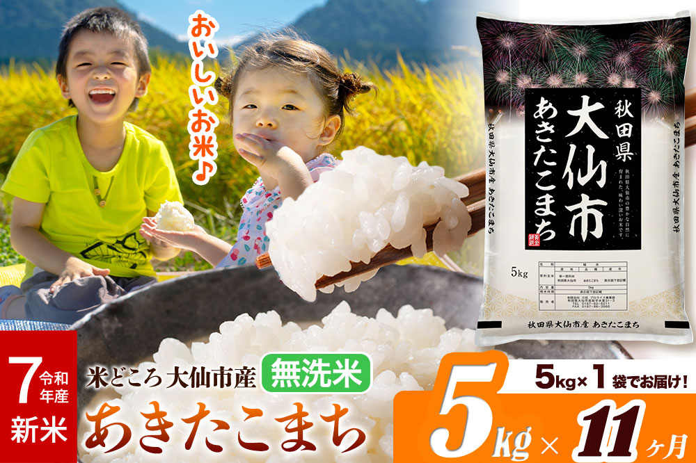 新米 令和7年産《定期便11ヶ月》米【無洗米】米どころ秋田県大仙市産 あきたこまち5kg（5kg×1袋）