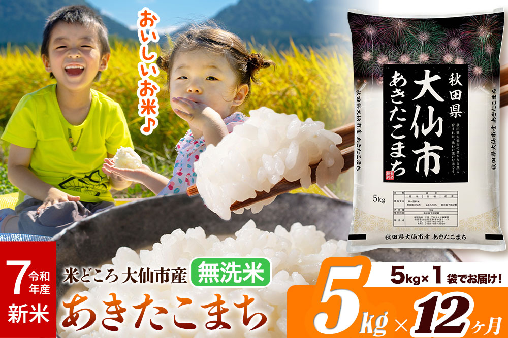 新米 令和7年産《定期便12ヶ月》米【無洗米】米どころ秋田県大仙市産 あきたこまち5kg（5kg×1袋）