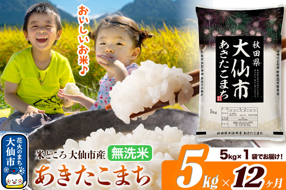 米《定期便12ヶ月》あきたこまち【無洗米】米どころ秋田県大仙市産 あきたこまち5kg（5kg×1袋） [米 お米 こめ 無洗米 精米 あきたこまち ブランド米 通算18回 特A 小分け ご飯 ごはん 米どころ 秋田県産 大仙市]
