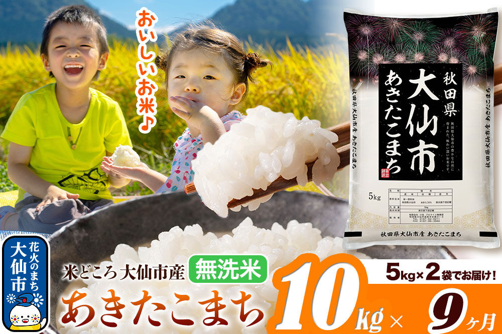 米《定期便9ヶ月》あきたこまち【無洗米】米どころ秋田県大仙市産 あきたこまち 10kg（5kg×2袋）