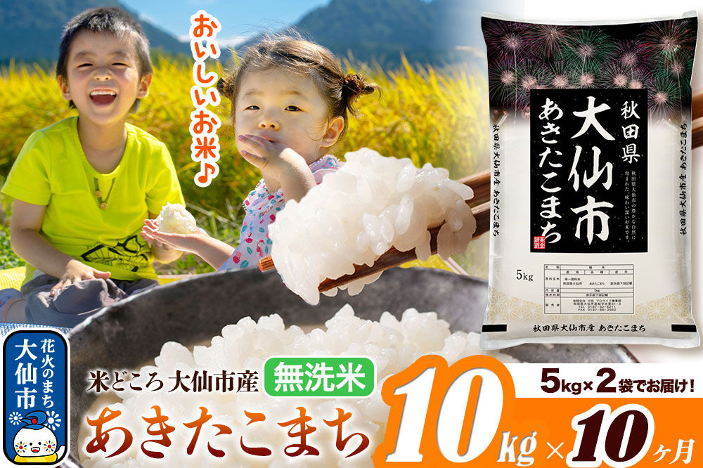米《定期便10ヶ月》あきたこまち【無洗米】米どころ秋田県大仙市産 あきたこまち 10kg（5kg×2袋）