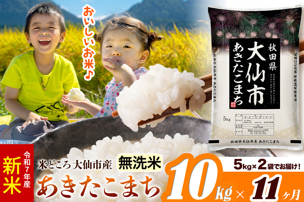 新米 令和7年産《定期便11ヶ月》米【無洗米】米どころ秋田県大仙市産 あきたこまち 10kg（5kg×2袋）