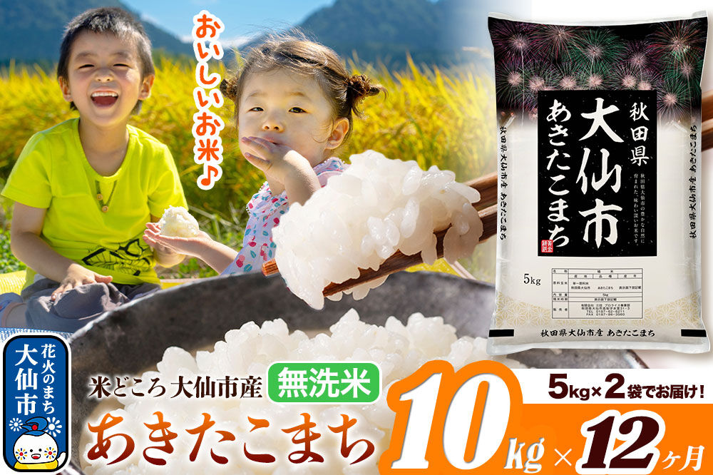 米《定期便12ヶ月》あきたこまち【無洗米】米どころ秋田県大仙市産 あきたこまち 10kg（5kg×2袋）