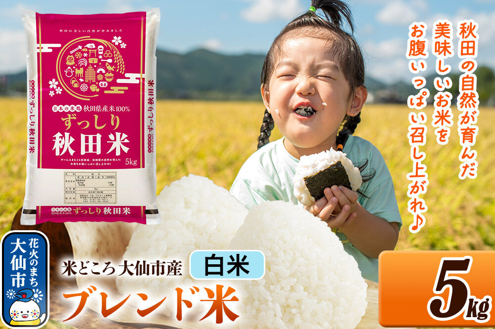 米 米どころ 秋田県大仙市産 ブレンド米 令和7年産【白米】5kg（5kg×1袋）
