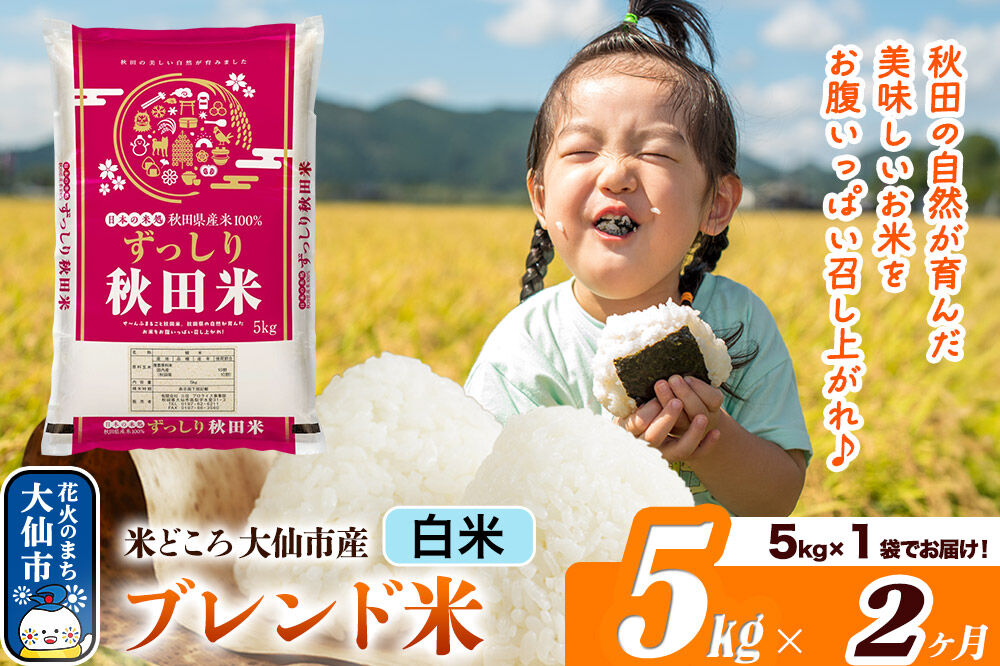 米《定期便2ヶ月》米どころ 秋田県大仙市産 ブレンド米【白米】5kg（5kg×1袋）