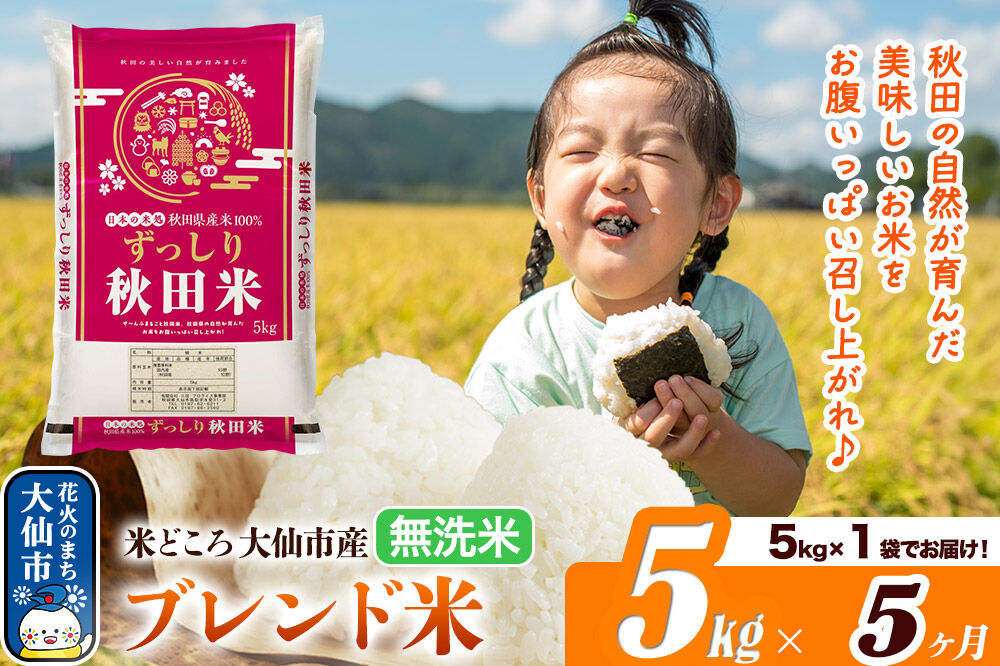 米《定期便5ヶ月》米どころ 秋田県大仙市産 ブレンド米【無洗米】5kg（5kg×1袋）