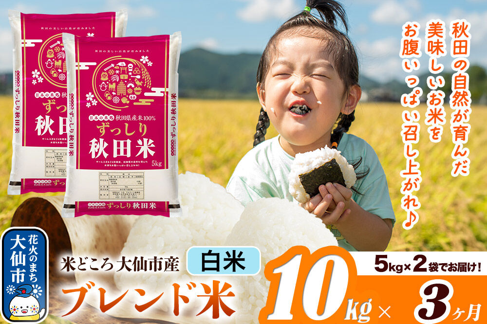 米《定期便3ヶ月》米どころ 秋田県大仙市産 ブレンド米【白米】10kg（5kg×2袋）