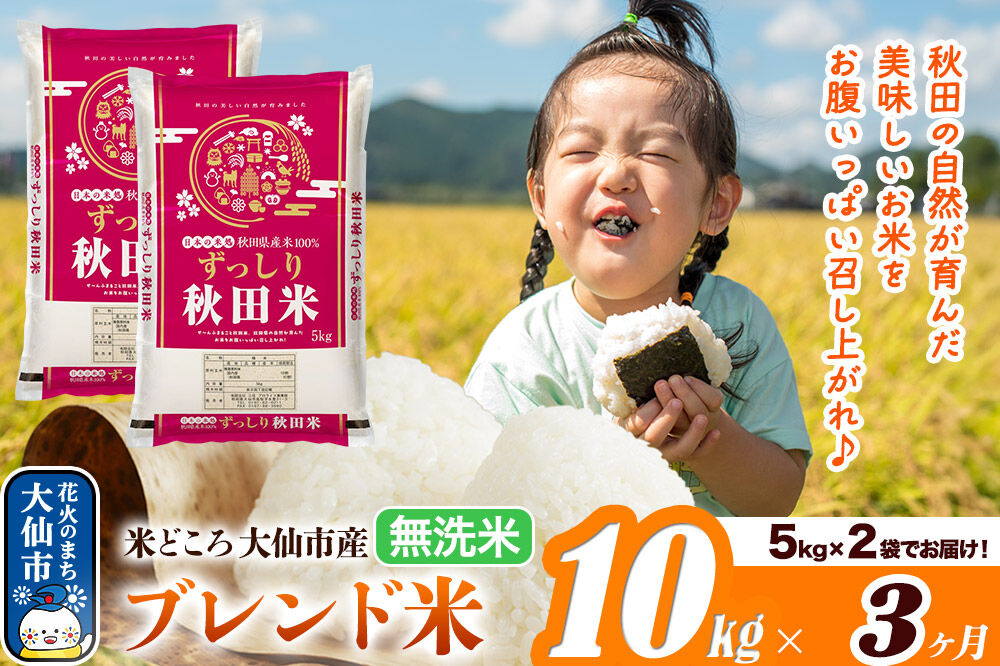 米《定期便3ヶ月》米どころ 秋田県大仙市産 ブレンド米【無洗米】10kg（5kg×2袋）