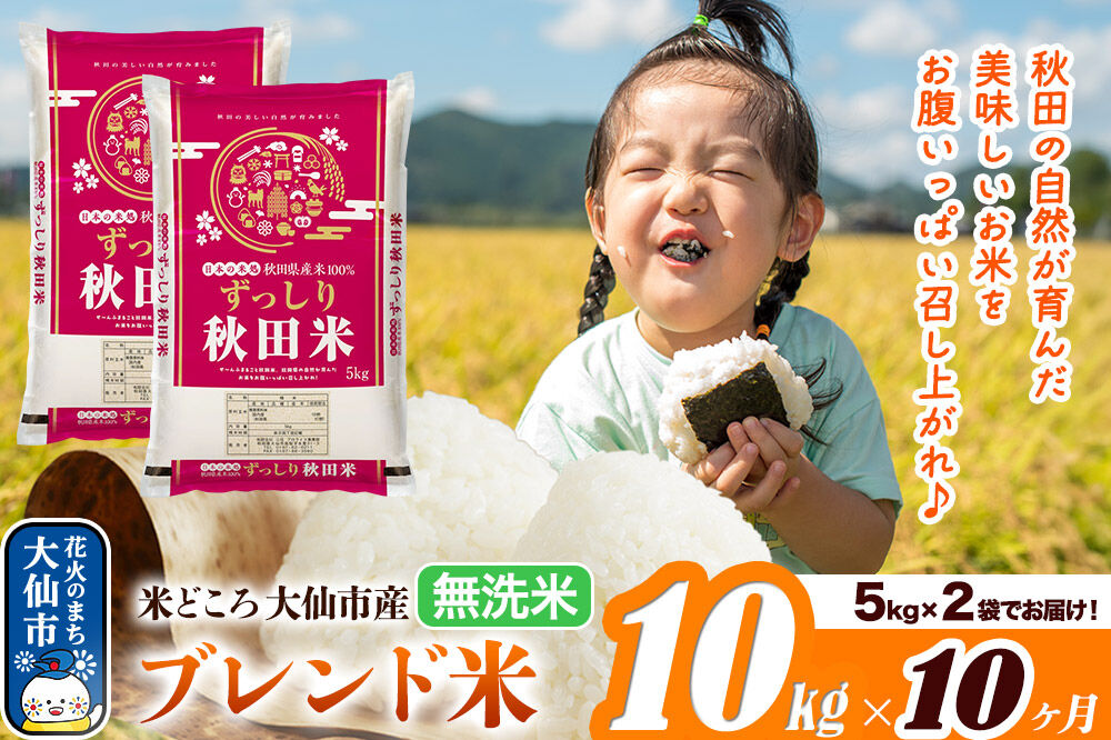 米《定期便10ヶ月》米どころ 秋田県大仙市産 ブレンド米【無洗米】10kg（5kg×2袋）