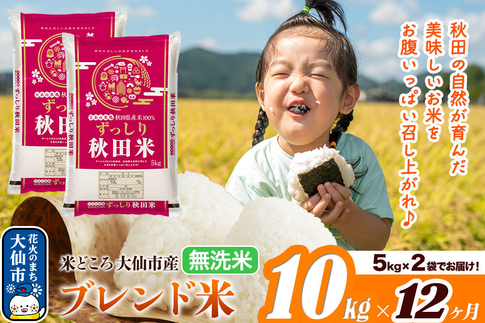 米《定期便12ヶ月》米どころ 秋田県大仙市産 ブレンド米【無洗米】10kg（5kg×2袋）