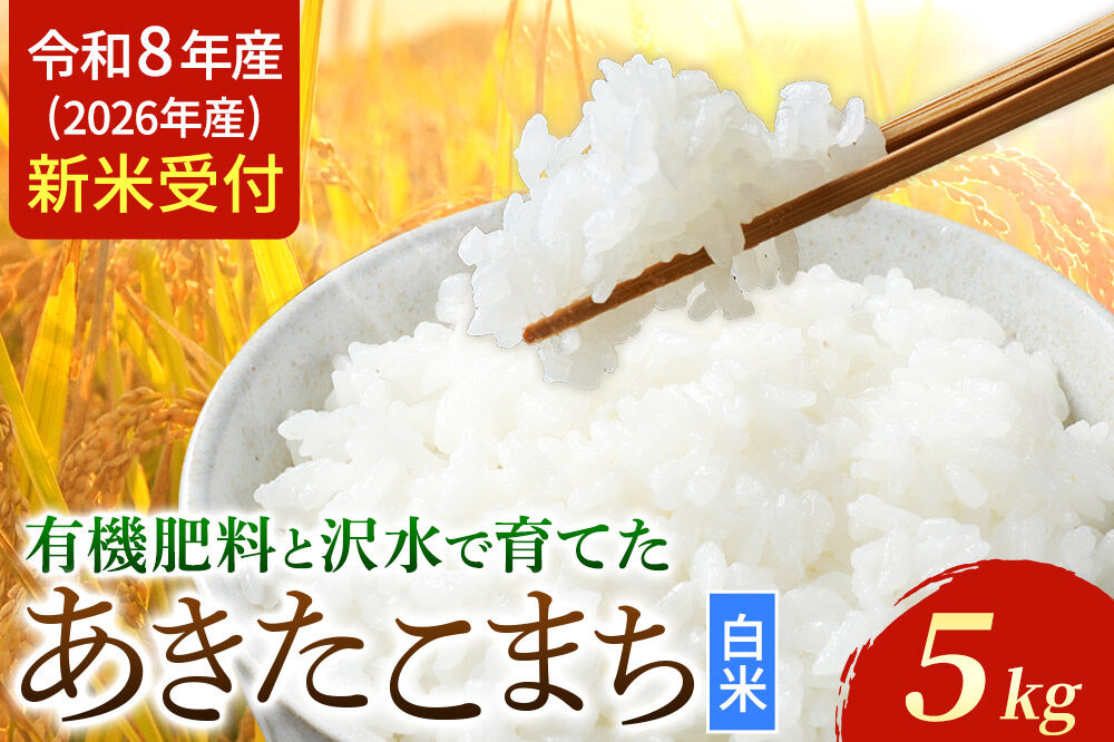 《令和8年産 新米受付》 あきたこまち 秋田県大仙市産  有機肥料と沢水で育てたあきたこまち 白米5kg（1袋） [新米 先行受付 令和8年 米 あきたこまち お米 こめ ブランド米 玄米 米どころ 有機肥料 沢水 秋田 秋田県産 大仙市 5kg]