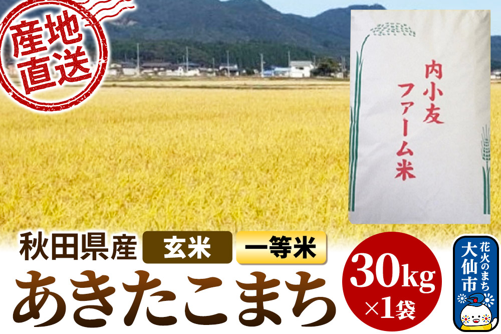 米 令和7年産 秋田県産あきたこまち 一等米 農家直送 玄米30kg 内小友ファーム