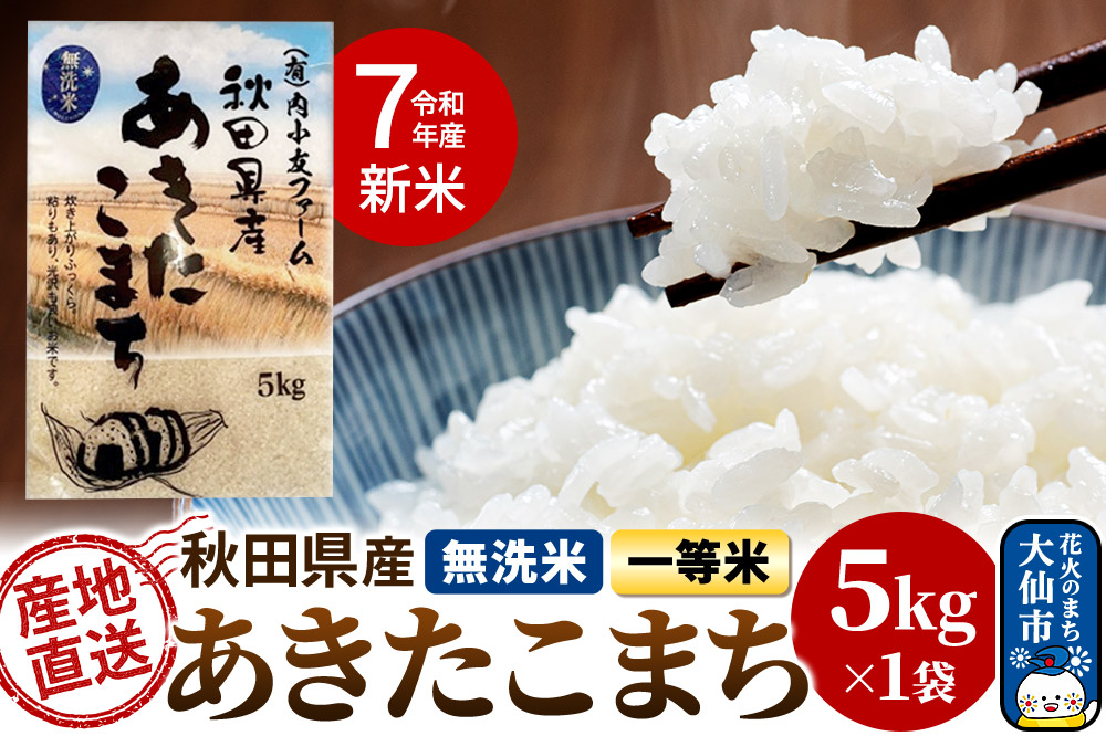 新米 米 令和7年産 秋田県産あきたこまち 一等米 農家直送 無洗米5kg 内小友ファーム