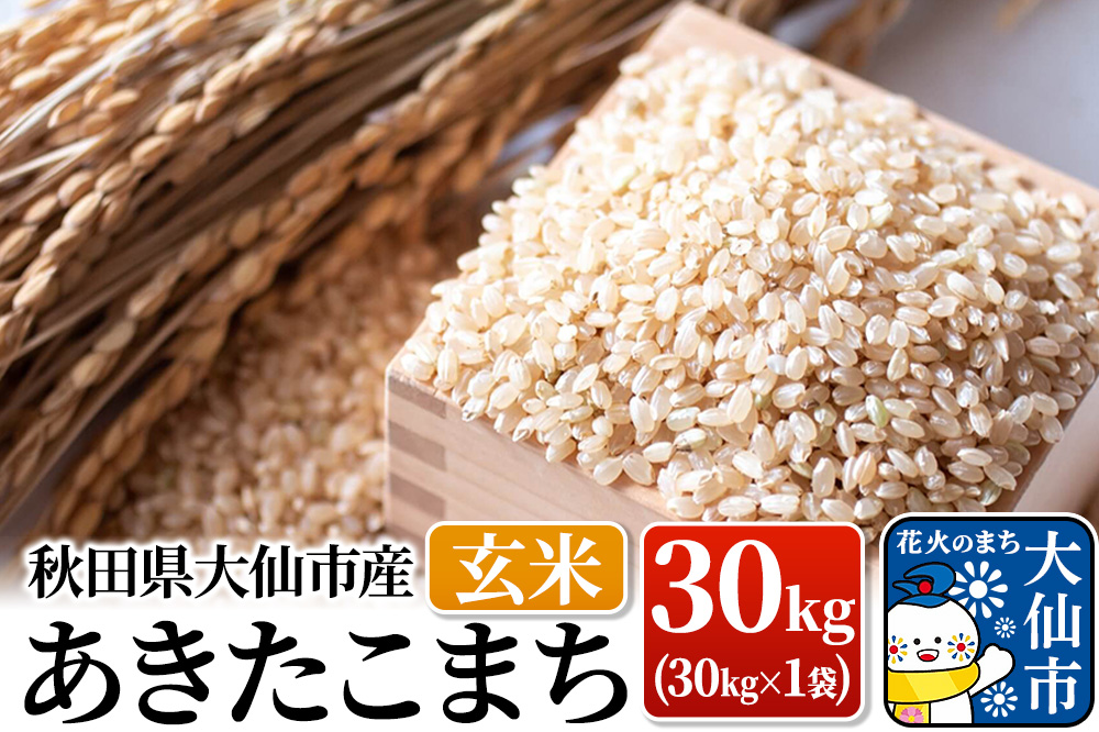 米【令和7年産】あきたこまち 玄米 30kg（30kg×1袋）秋田県大仙市産