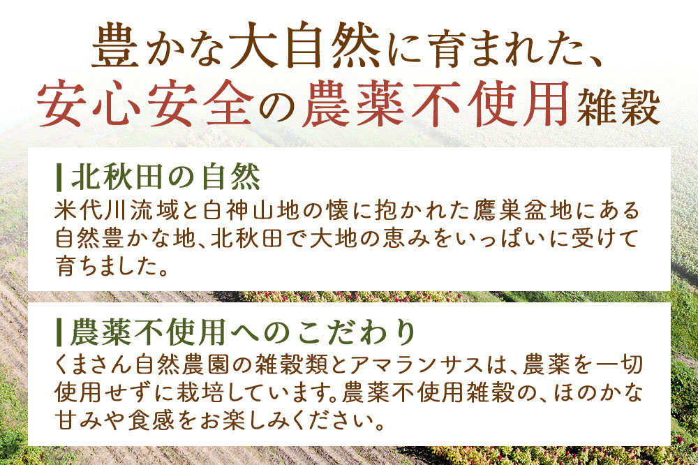 小鳥のエサ（ひえ穂） 計200g（100g×2袋） 農薬不使用 無農薬 国産 国内産 小鳥の餌 小鳥のえさ