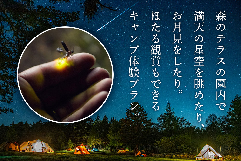 キャンプ 森のテラス キャンプ体験プラン 森吉