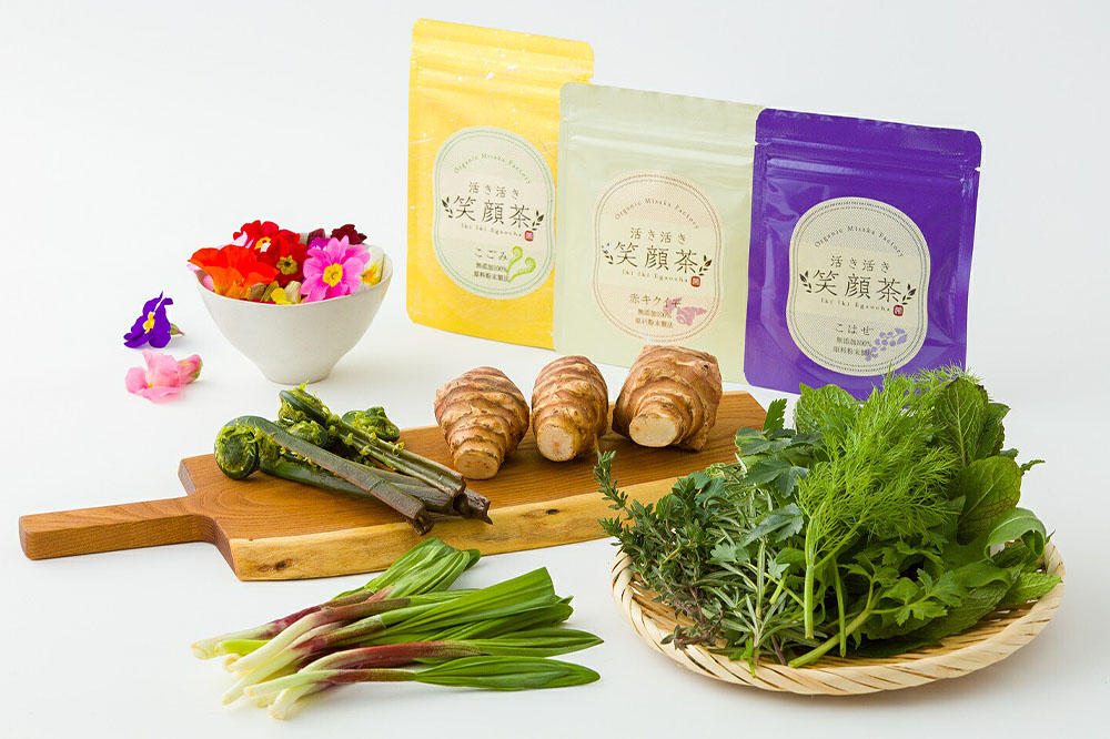 『笑顔セット』季節の山菜・野菜と、こごみ 茶・こはぜ 茶・キクイモ 茶のセット！アントシアニン ポリフェノール ビタミン ミネラル 酵素 が 豊富