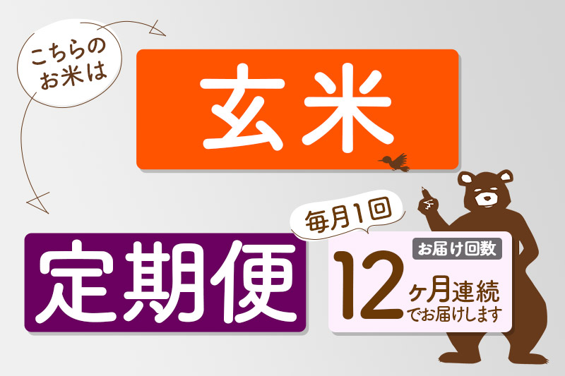 ※令和7年産 新米※《定期便12ヶ月》秋田県産 あきたこまち 50kg【玄米】(5kg小分け袋) 2025年産 お届け時期選べる お届け周期調整可能 隔月に調整OK お米 藤岡農産
