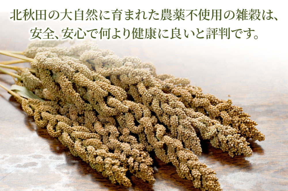 小鳥のエサ（あわ穂） 計200g（100g×2袋） 農薬不使用 無農薬 国産 国内産 小鳥の餌 小鳥のえさ
