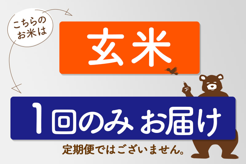 ※令和7年産 新米※秋田県産 あきたこまち 80kg【玄米】(10kg袋)【1回のみお届け】2025年産 お届け時期選べる お米 みそらファーム