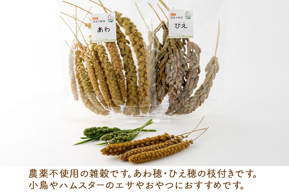 小鳥のエサ（あわ穂・ひえ穂） 計200g（あわ穂100g ひえ穂100g） 農薬不使用 無農薬 国産 国内産 小鳥の餌 小鳥のえさ