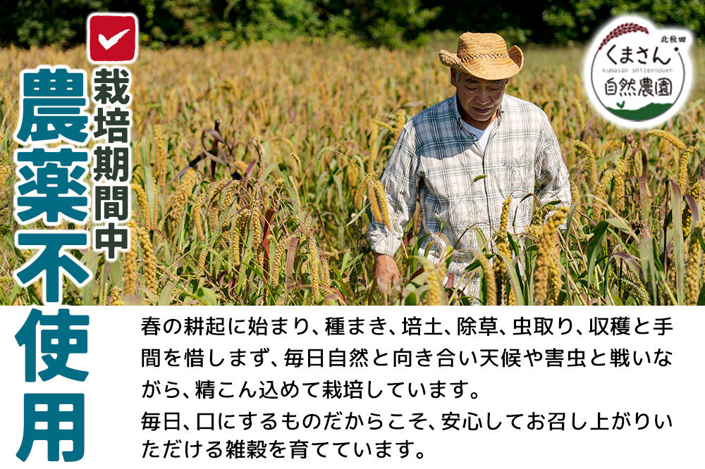 雑穀 アマランサス 計600g（200g×3袋） 農薬不使用 無農薬 ご飯に混ぜて炊くだけ 国産 国内産
