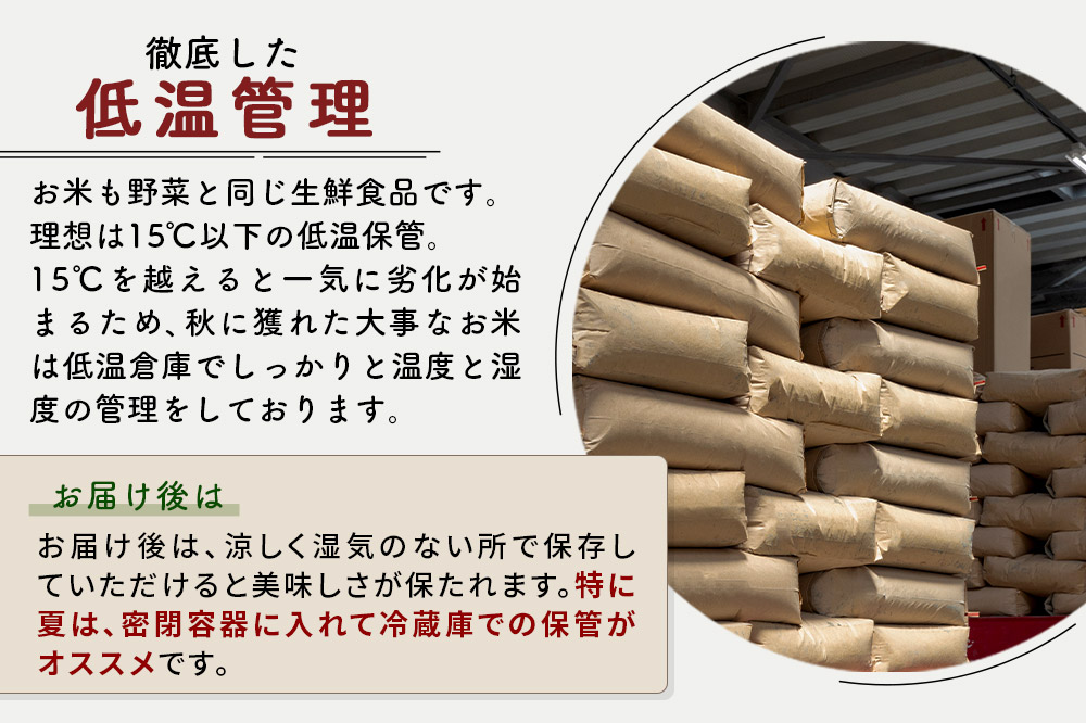 ※令和7年産※秋田県産 あきたこまち 5kg【無洗米】(5kg小分け袋)【1回のみお届け】2025年産 お届け時期選べる お米 藤岡農産