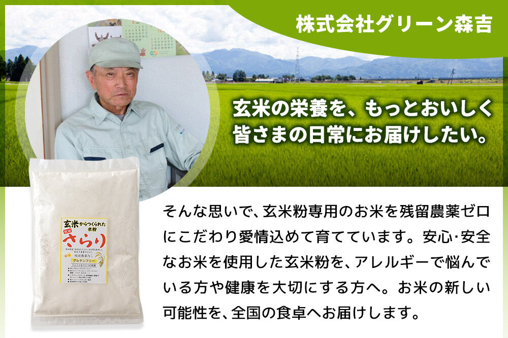 玄米からつくられた 米粉 秋田さらり玄米粉 500g レターパックライト [玄米粉 玄米 米粉 秋田さらり 国産 グルテンフリー アルファ化 パン 菓子 ケーキ 製菓 長期保存 備蓄]