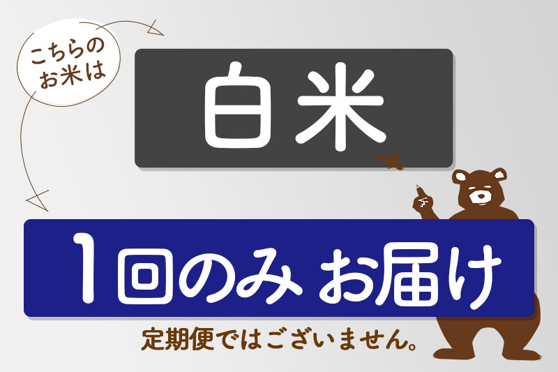 ※令和7年産 新米※秋田県産 あきたこまち 10kg【白米】(5kg小分け袋)【1回のみお届け】2025年産 お届け時期選べる お米 藤岡農産