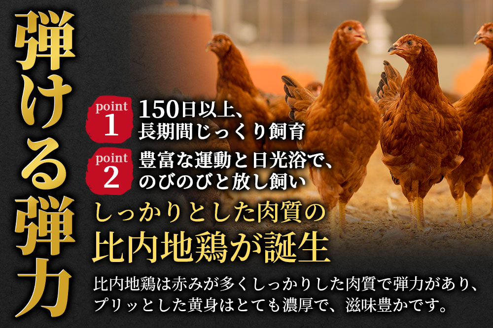 《定期便2ヶ月》 比内地鶏 1羽セット（もも肉・むね肉・ささみ）約5kg（約1kg（不定貫）×5袋）×2回 計10kg  時期選べる お届け周期調整可能 2か月 2ヵ月 2カ月 2ケ月 10キロ 国産 冷凍 正肉 鶏肉 鳥肉