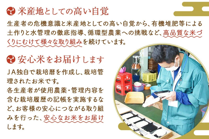 JA秋田たかのす あきたこまち 白米10kg（5kg×2袋）10キロ お米 令和7年産 秋田たかのす農業協同組合