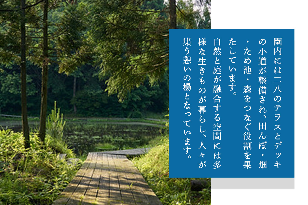 宿泊 森のテラス 宿泊プラン（かわせみ）【1泊1名 素泊まり】森吉