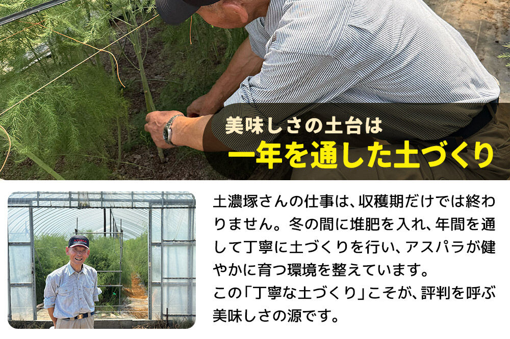 野菜 アスパラガス 北秋田市産 アスパラ 約2kg M～Lのサイズミックス [新鮮 冷蔵 産直 北秋田市産 M L サイズミックス グリーンアスパラ サラダ]