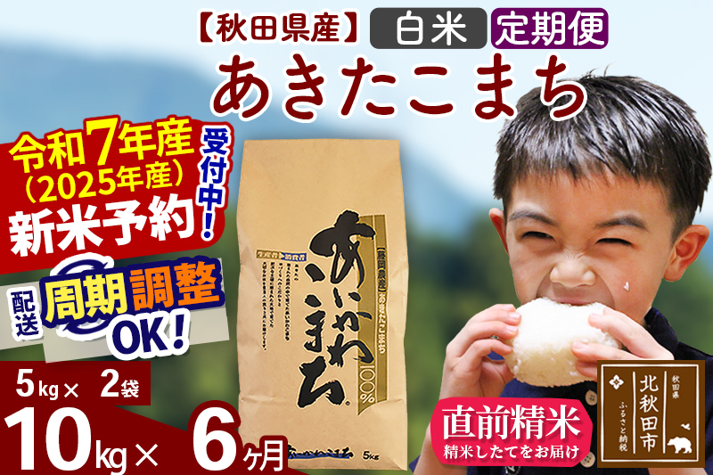 ※令和7年産 新米※《定期便6ヶ月》秋田県産 あきたこまち 10kg【白米】(5kg小分け袋) 2025年産 お届け時期選べる お届け周期調整可能 隔月に調整OK お米 藤岡農産