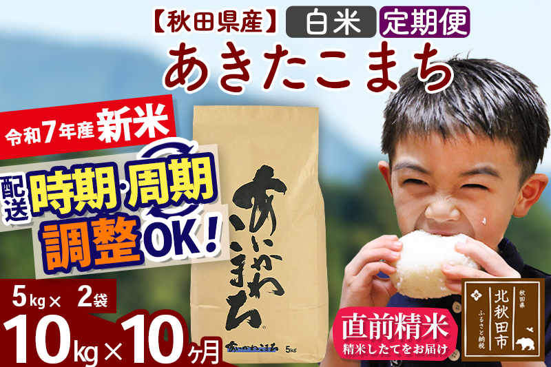 ※令和7年産 新米※《定期便10ヶ月》秋田県産 あきたこまち 10kg【白米】(5kg小分け袋) 2025年産 お届け時期選べる お届け周期調整可能 隔月に調整OK お米 藤岡農産