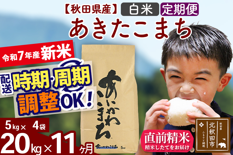 ※令和7年産 新米※《定期便11ヶ月》秋田県産 あきたこまち 20kg【白米】(5kg小分け袋) 2025年産 お届け時期選べる お届け周期調整可能 隔月に調整OK お米 藤岡農産