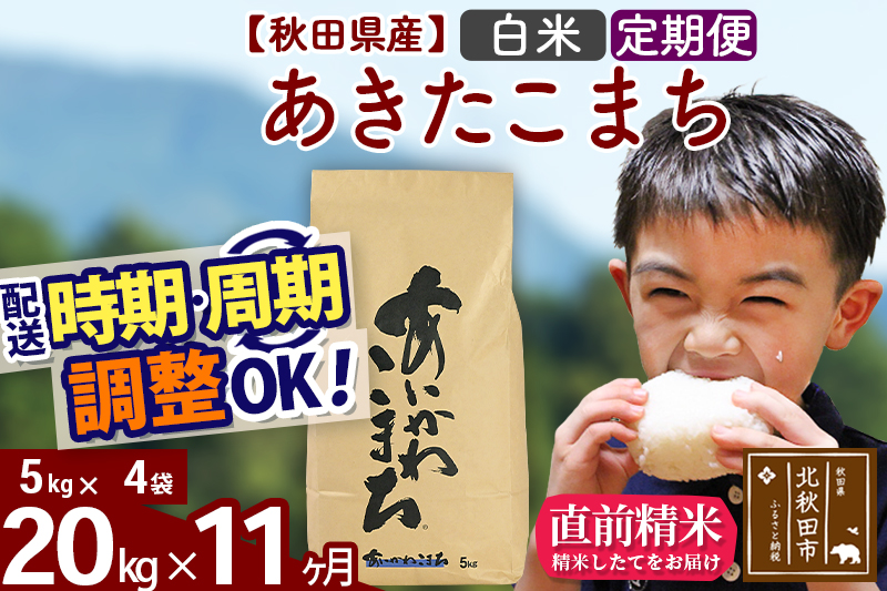※令和7年産※《定期便11ヶ月》秋田県産 あきたこまち 20kg【白米】(5kg小分け袋) 2025年産 お届け時期選べる お届け周期調整可能 隔月に調整OK お米 藤岡農産