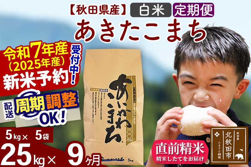 ※令和7年産 新米※《定期便9ヶ月》秋田県産 あきたこまち 25kg【白米】(5kg小分け袋) 2025年産 お届け時期選べる お届け周期調整可能 隔月に調整OK お米 藤岡農産