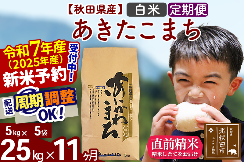 ※令和7年産 新米※《定期便11ヶ月》秋田県産 あきたこまち 25kg【白米】(5kg小分け袋) 2025年産 お届け時期選べる お届け周期調整可能 隔月に調整OK お米 藤岡農産