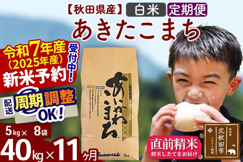 ※令和7年産 新米※《定期便11ヶ月》秋田県産 あきたこまち 40kg【白米】(5kg小分け袋) 2025年産 お届け時期選べる お届け周期調整可能 隔月に調整OK お米 藤岡農産