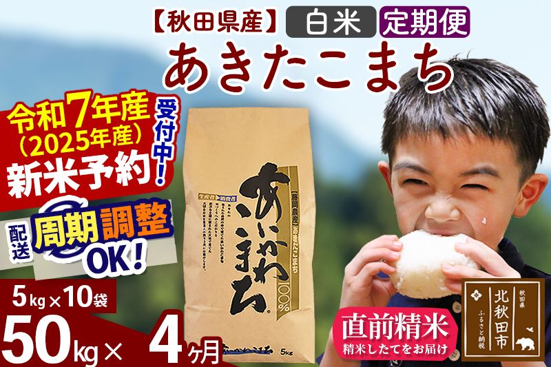 ※令和7年産 新米※《定期便4ヶ月》秋田県産 あきたこまち 50kg【白米】(5kg小分け袋) 2025年産 お届け時期選べる お届け周期調整可能 隔月に調整OK お米 藤岡農産