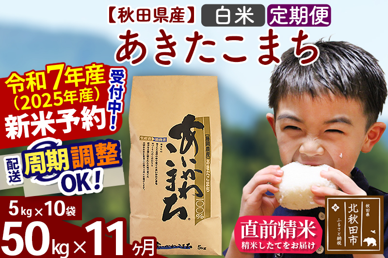 ※令和7年産 新米※《定期便11ヶ月》秋田県産 あきたこまち 50kg【白米】(5kg小分け袋) 2025年産 お届け時期選べる お届け周期調整可能 隔月に調整OK お米 藤岡農産