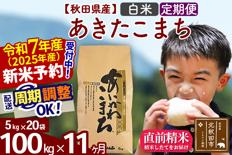 ※令和7年産 新米※《定期便11ヶ月》秋田県産 あきたこまち 100kg【白米】(5kg小分け袋) 2025年産 お届け時期選べる お届け周期調整可能 隔月に調整OK お米 藤岡農産