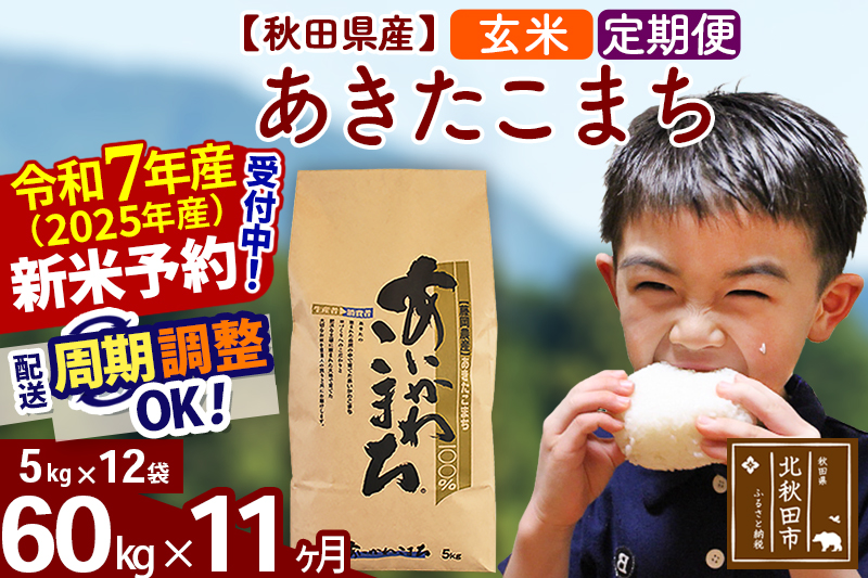 ※令和7年産 新米※《定期便11ヶ月》秋田県産 あきたこまち 60kg【玄米】(5kg小分け袋) 2025年産 お届け時期選べる お届け周期調整可能 隔月に調整OK お米 藤岡農産