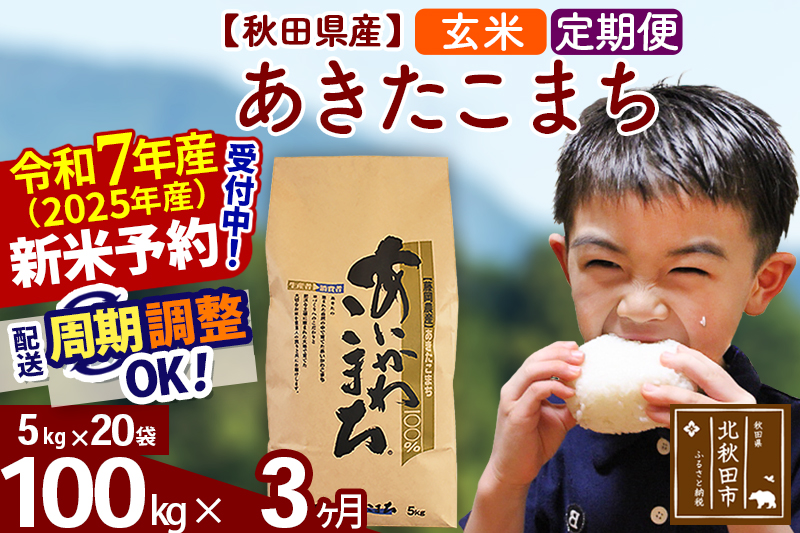 ※令和7年産 新米※《定期便3ヶ月》秋田県産 あきたこまち 100kg【玄米】(5kg小分け袋) 2025年産 お届け時期選べる お届け周期調整可能 隔月に調整OK お米 藤岡農産