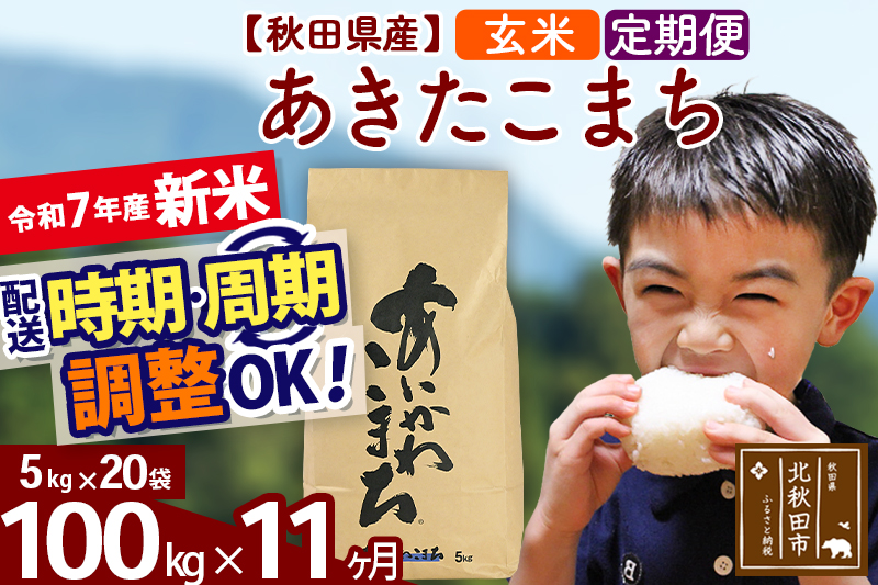 ※令和7年産 新米※《定期便11ヶ月》秋田県産 あきたこまち 100kg【玄米】(5kg小分け袋) 2025年産 お届け時期選べる お届け周期調整可能 隔月に調整OK お米 藤岡農産